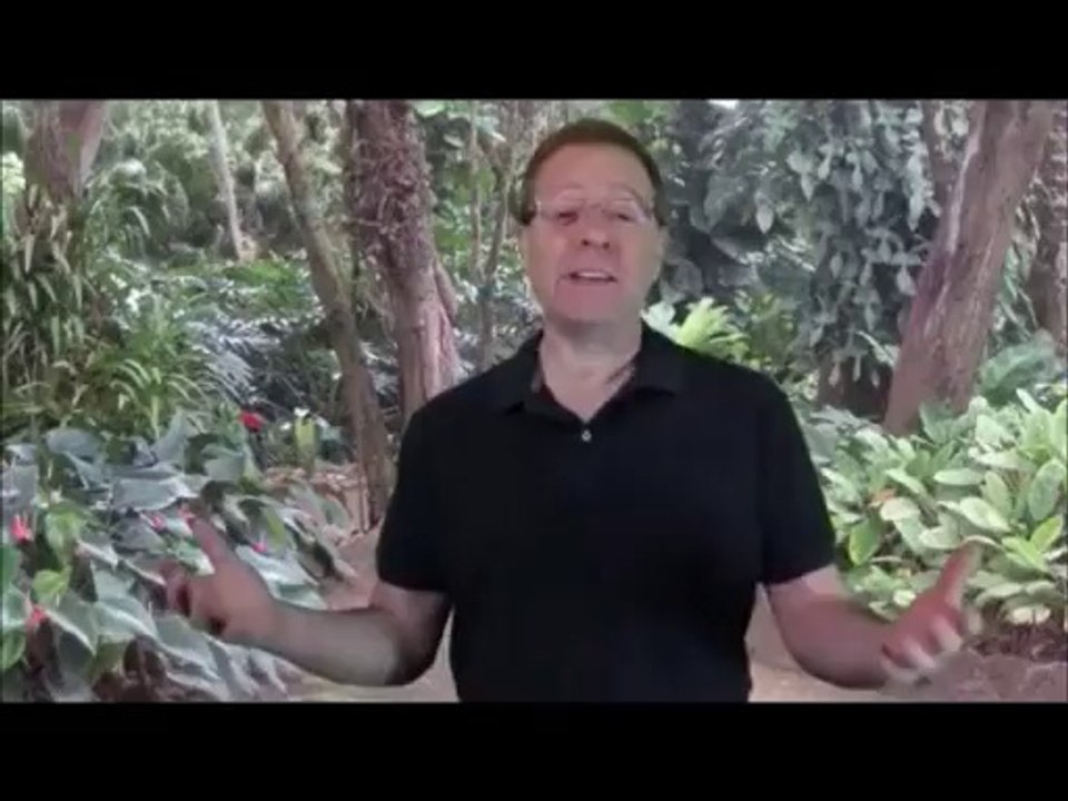 forex live trading  fapturbo 2 system review free