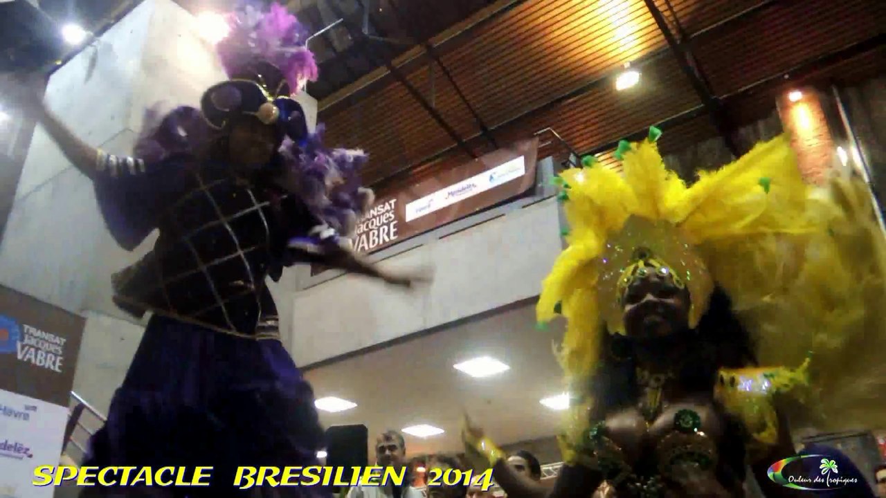 SPECTACLE BRESILIEN COULEUR DES TROPIQUES 2014