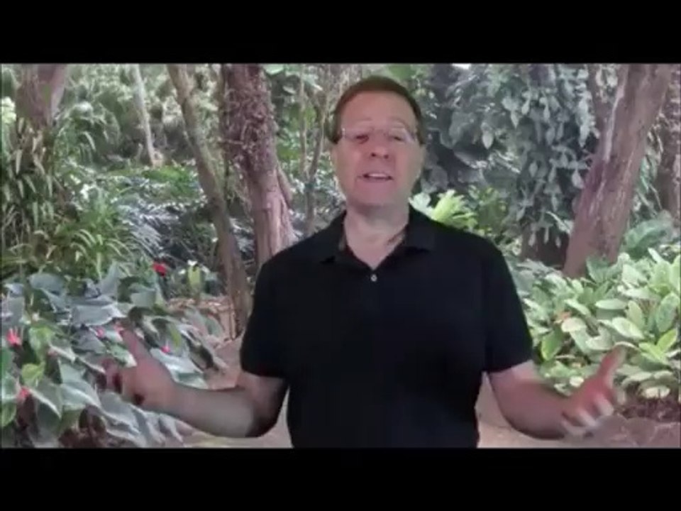 forex trading wiki  fapturbo 2 system review free