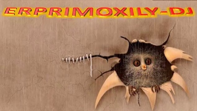 LOS LAXO 2014 POPURRI LOS GITANOS DE LISBOA MIXX DJXILY