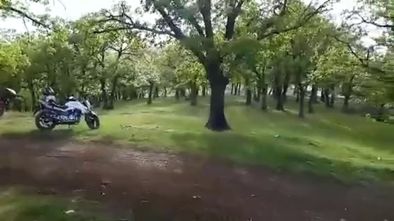 8yeşil tepe