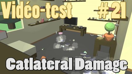 [Videotest] CatLateral Damage