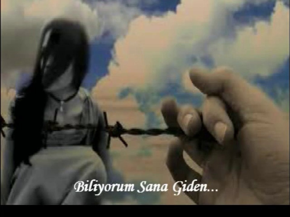 Biliyorum Sana Giden Yollar-Bir Cemal Süreya Şiiri