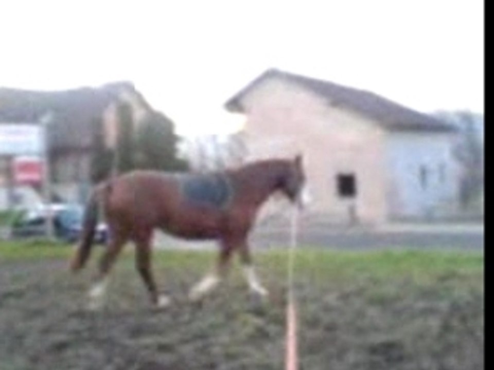 Caraibe  Longe travail bas