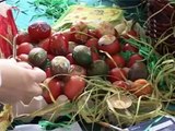 Vaskršnja Radost - farbanje jaja u Kapitol Parku TV Šabac