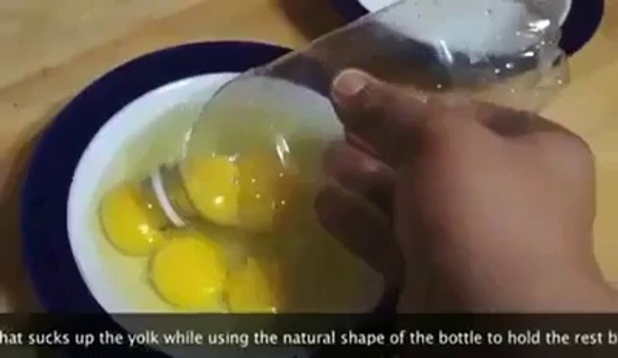eggs