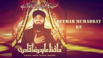 Hafiz Abid Raza Qadri - Beemar Muhabbat Ke