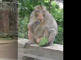 Cambodge vietnam 2006