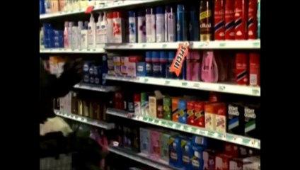 Celestial Sphere above the Flat Earth