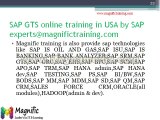 sap gts online training in USA by SAP experts