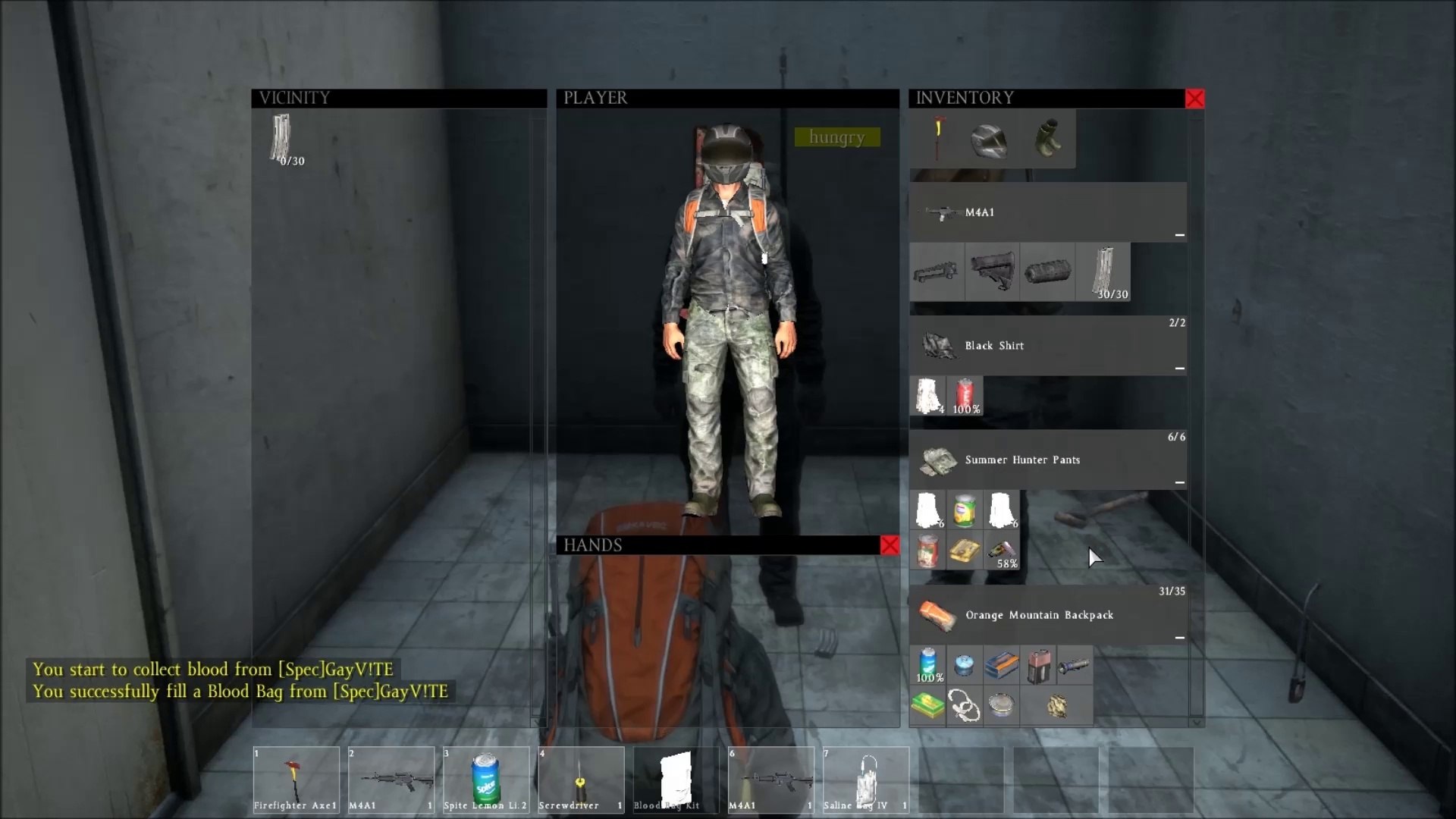 Dayz Standalone Inventory