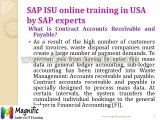 sap isu online training in usa by SAP experts