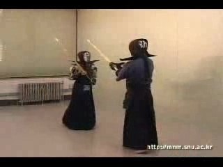 Kendo Robot
