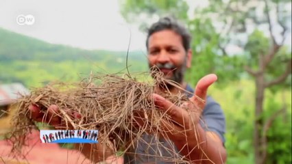 Ingenio global: Rajnish Jain | Global 3000