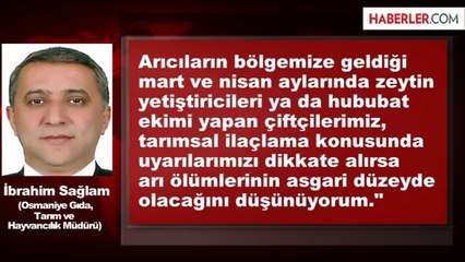 Bilinçsiz Zirai İlaçlama, Bal Arılarını Öldürüyor