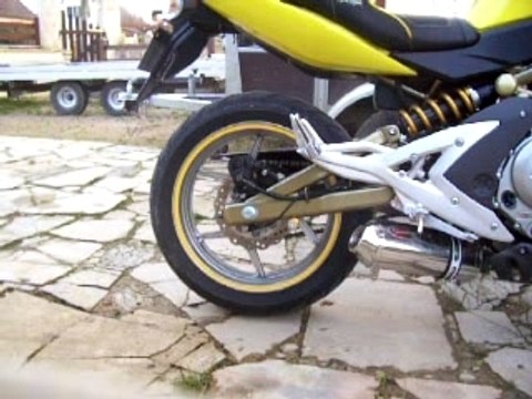 er-6 pot scorpion avec chicane