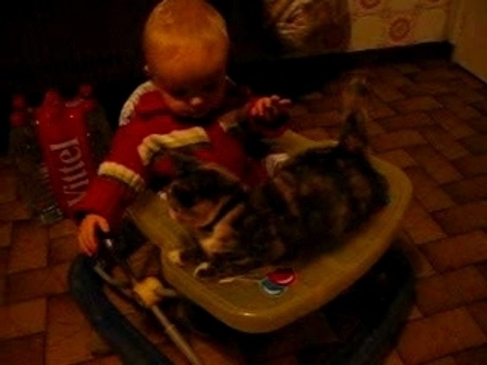 Nils taxi chauffeur voor poezen !