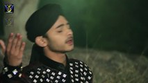 Muhammad Aa Gaey Official HD Video Naat [2014] Muhammad Jahanzaib Qadri - Naat Online