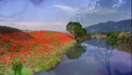 Χαλάζι έφερε η ψιχάλα ---- Γιάννης Πουλόπουλος