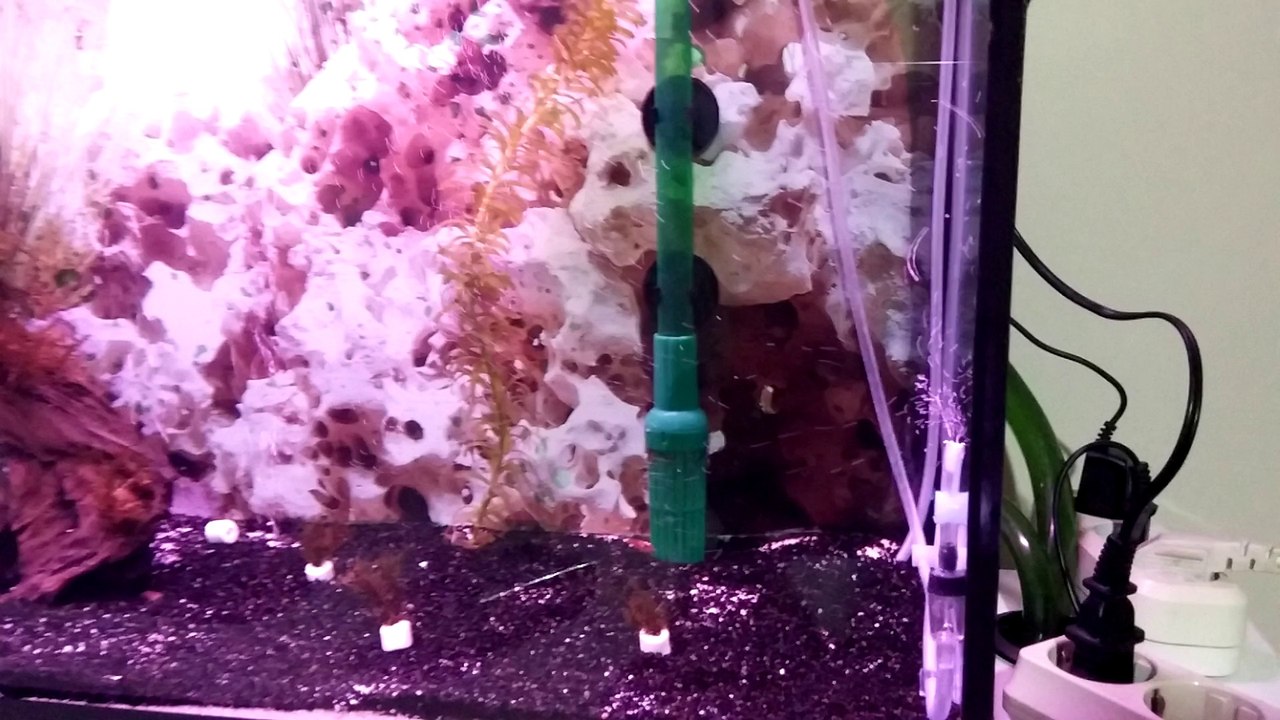 DIY Co2 Difuzor ve Damla Sayaci