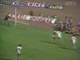 ΑΕΛ-Παναθηναϊκός Τελικός κυπέλλου 1984