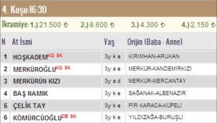 adana at yarışı