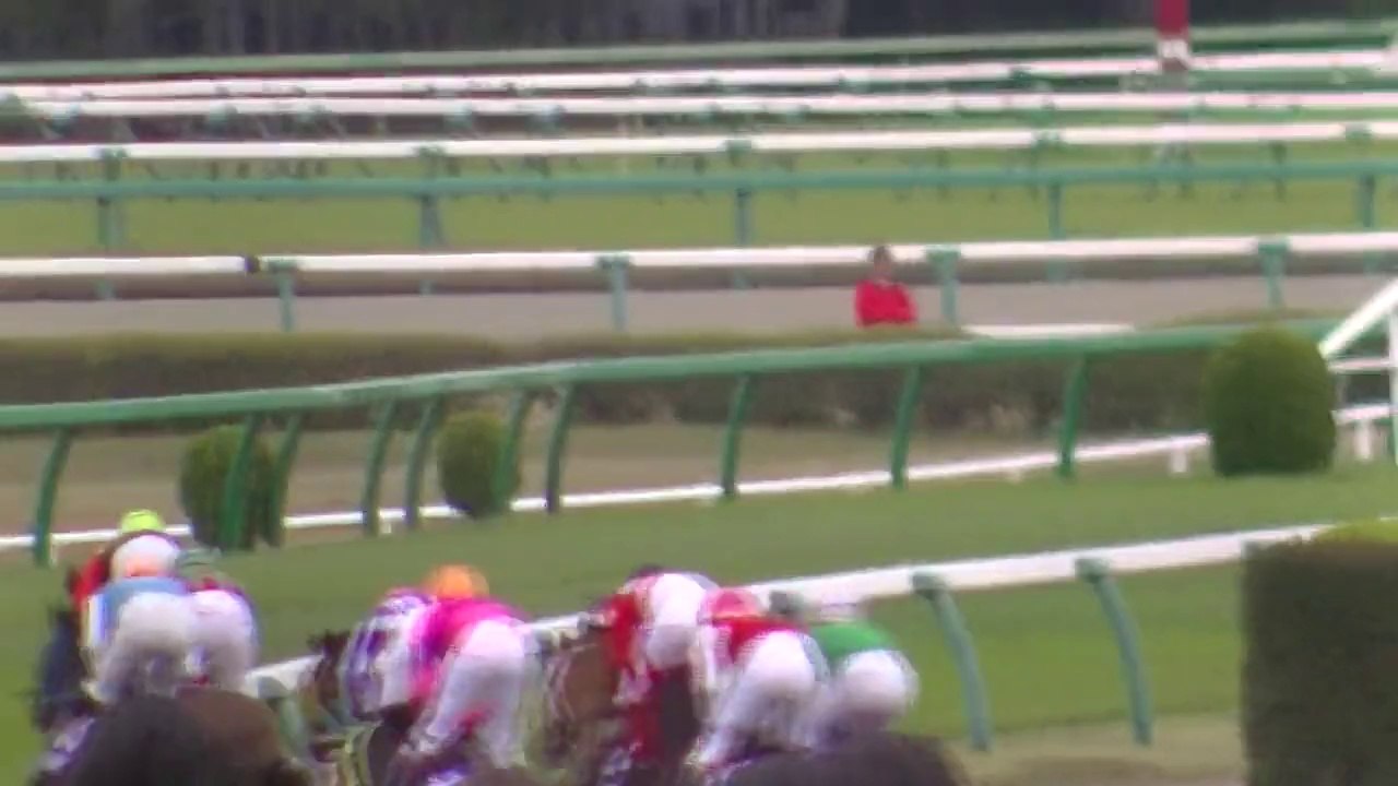 2014中山グランドジャンプ