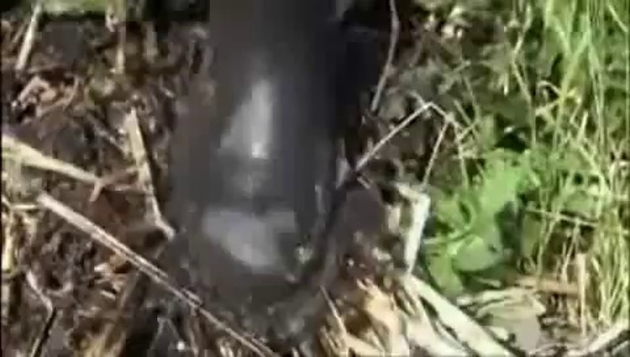 Les chinampas