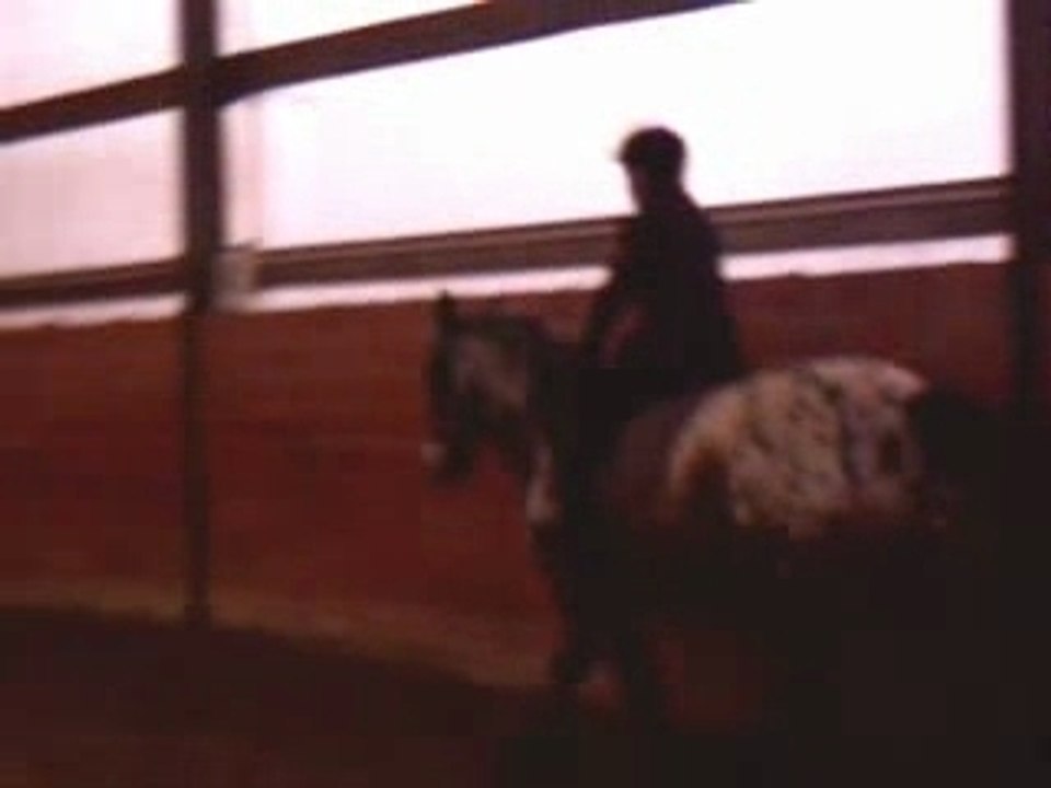 video de Brownie_001