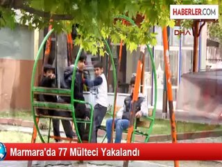 Marmara'da 77 Mülteci Yakalandı