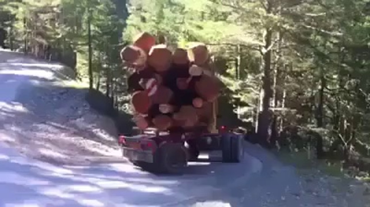 Driver of the year