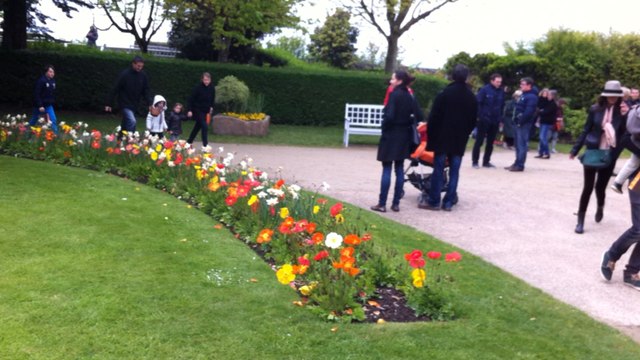 Chasse aux œufs au jardin Dior