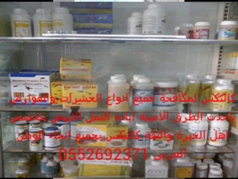 شركة نقل العفش 0544543073من والى جميع انحاء المملكة بالمدينة المنورة وينبع الخيول المثالية