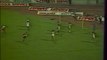 Greek final cup 1985(AEL-PAOK)- Highlights