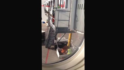 Air Canada Baggage Handlers Caught Throwing Luggage