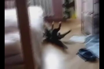 Funny Cats XD _ PART 3