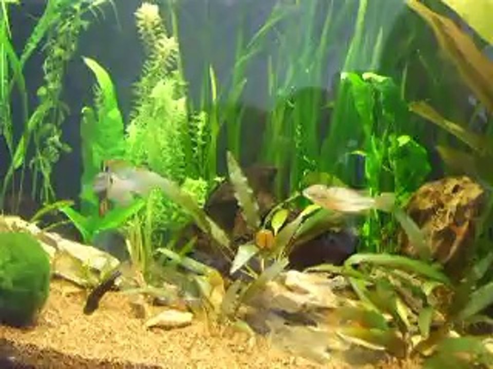 Ramirezis 21/04/2014