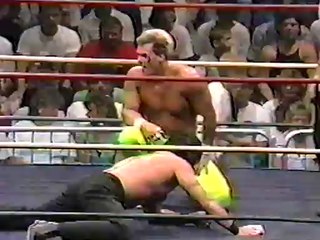 89-09-03 Sting vs The Great Muta (NWA Power Hour)