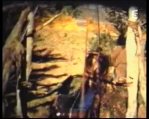 Histoire de l'armée française 3-4 (1940-1962) (2006)