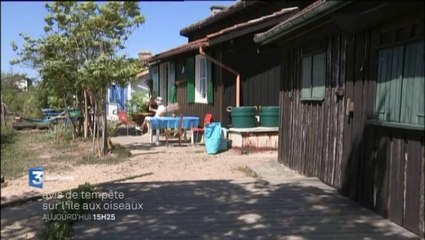 Documentaire : Avis de tempête dur l'île aux oiseaux