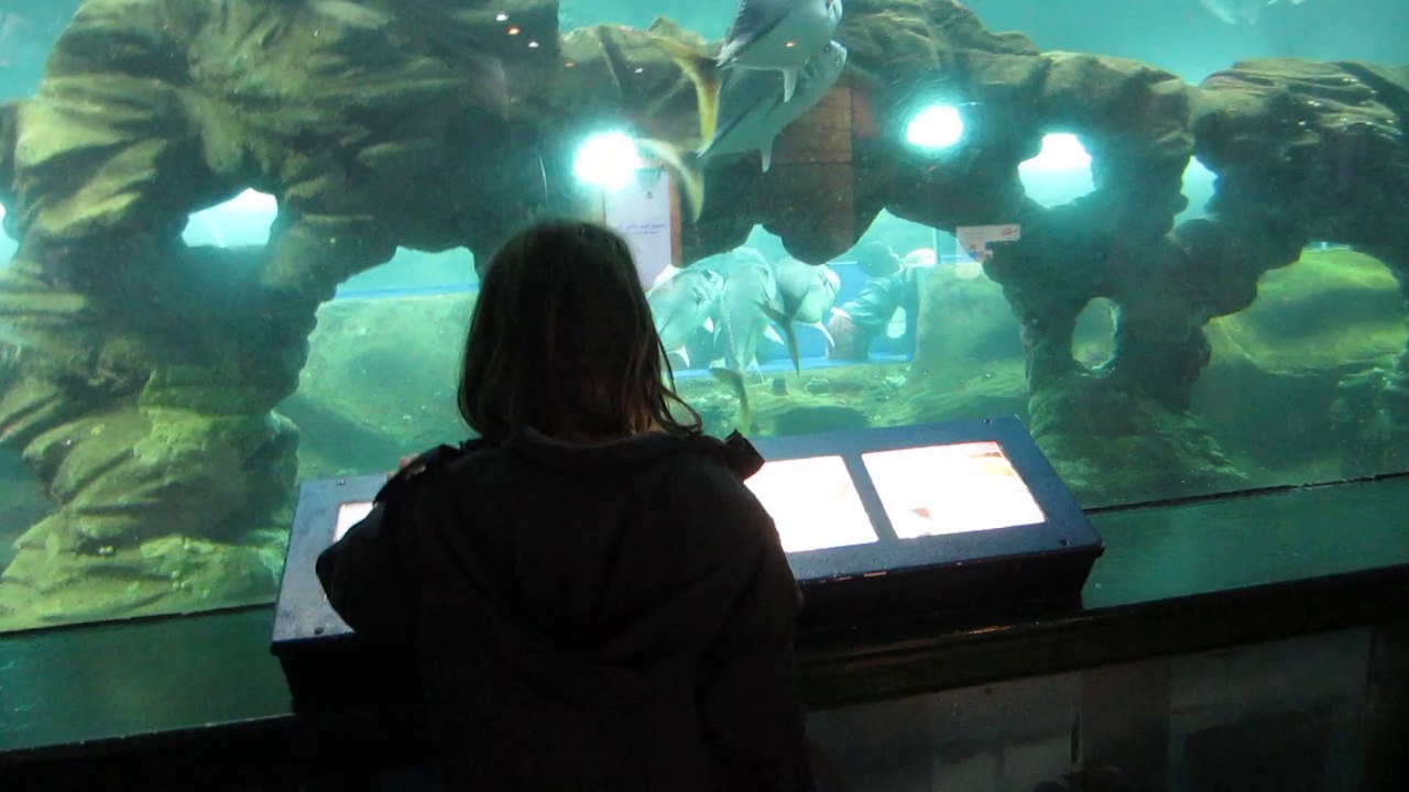 Aquarium