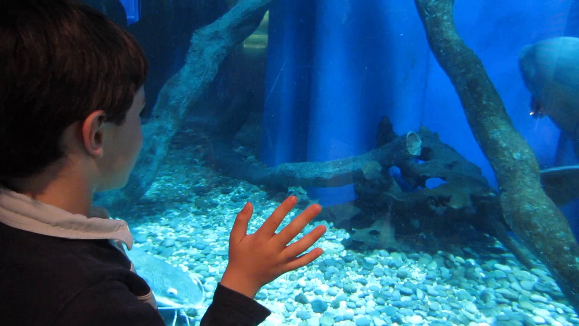 ⁣Aquarium 2