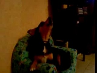 Buffy vs les feux de l'amour