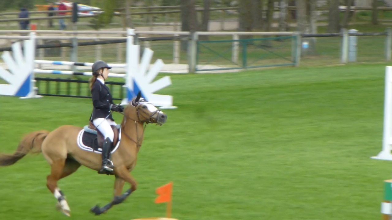 ORANGE DES MAUVES FONTAINEBLEAU 18 04 2014 AS PONEY 2D