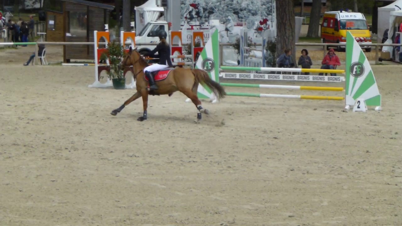 ORANGE DES MAUVES FONTAINEBLEAU 19 04 2014 PONEY ELITE