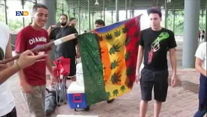 Puertorriqueños se unen para pedir legalización de la marihuana