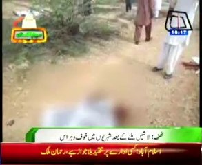 Thatta 4 bodies found in forest near Dhabeji
