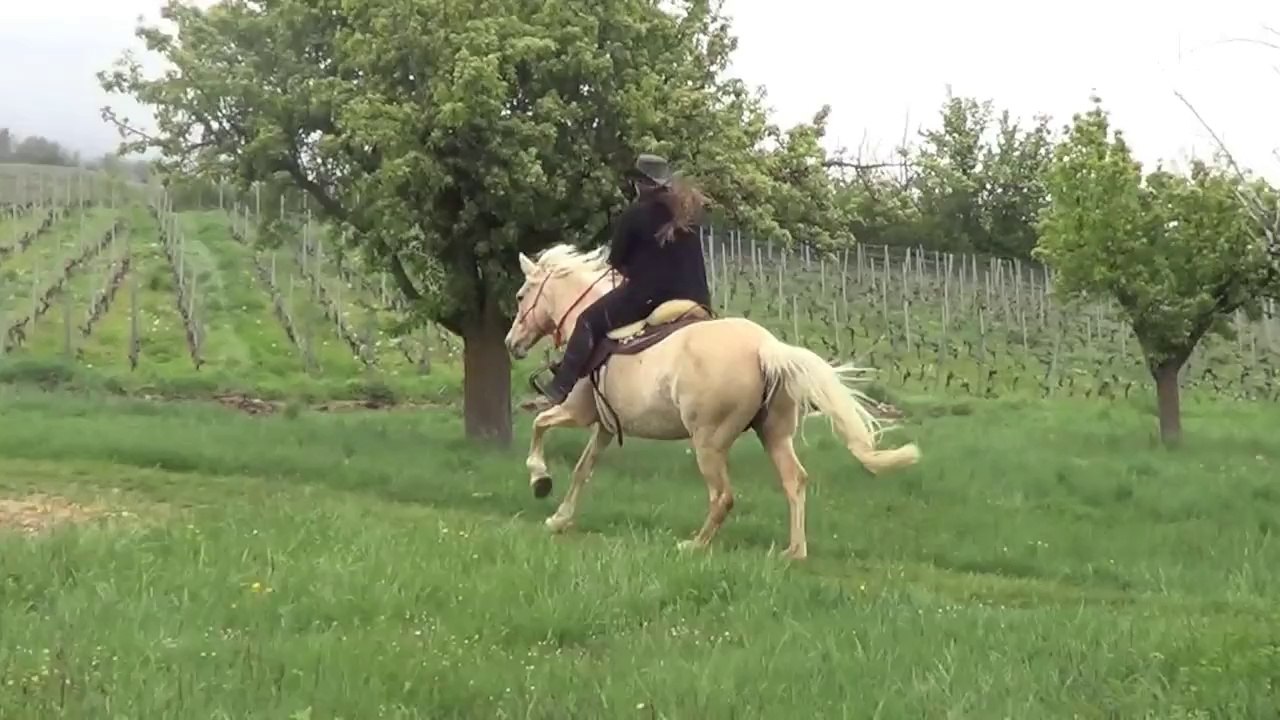 Pas après pas ..