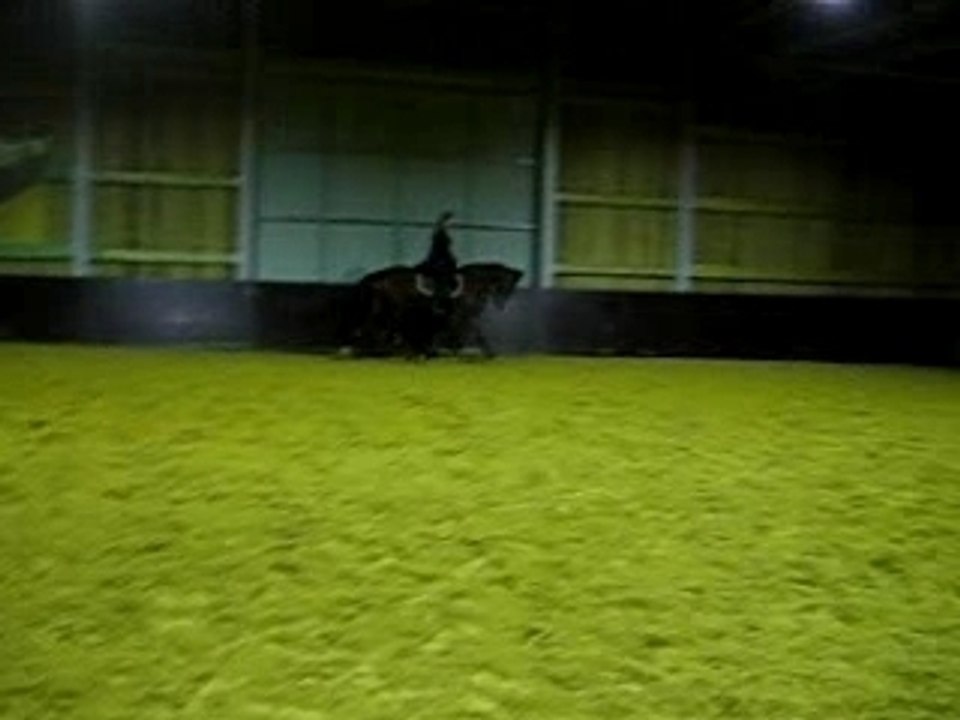 MVI_1217