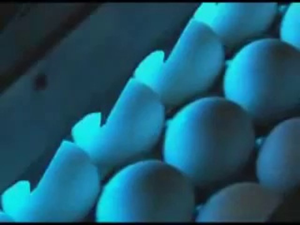 Japonya Yumurta Teknolojisi